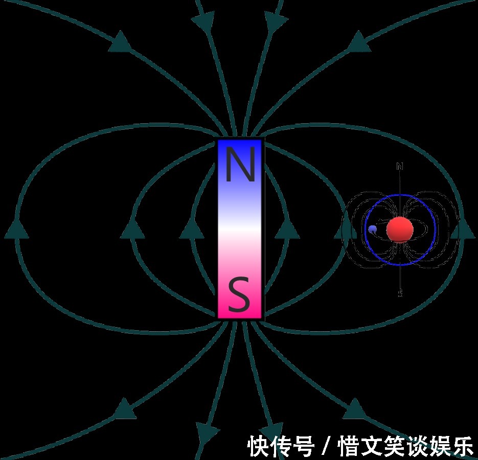 磁性 把人放进强磁场中会怎样？科学家用青蛙做实验，得到一只反重力蛙