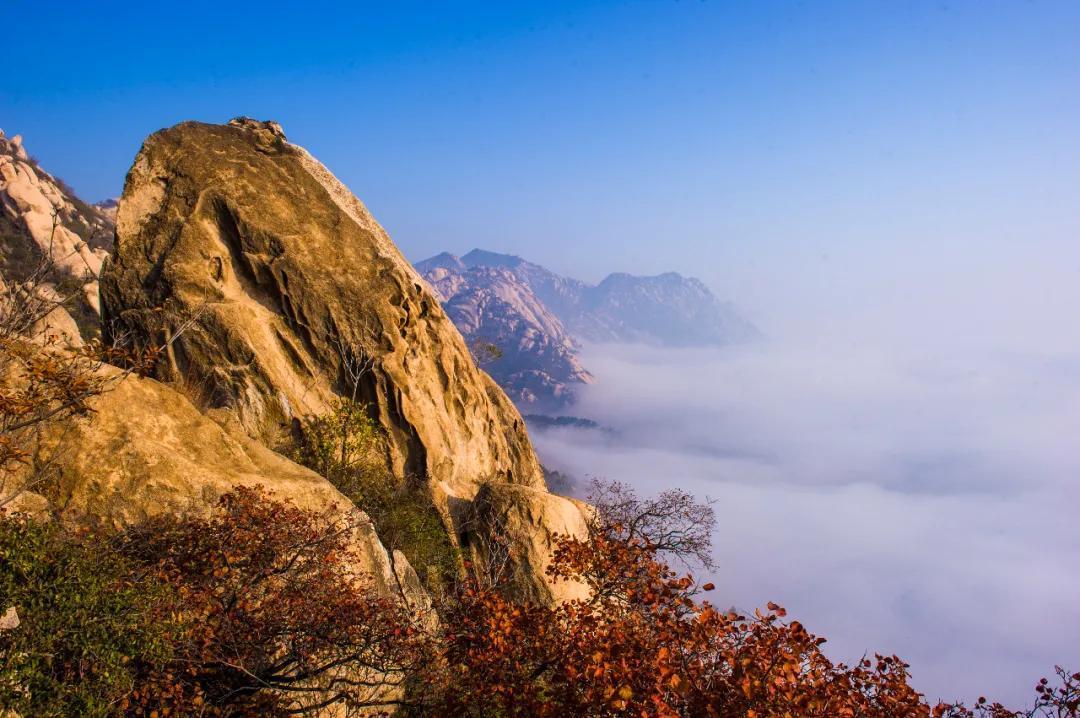 中年|北京海淀凤凰岭丨春节免费游园,助力“留京过年”!