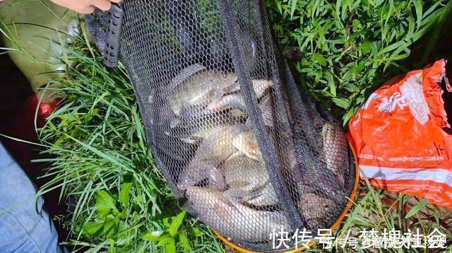 这2种鱼已成功“入侵”我国,吃货也束手无策,钓到该如何处理