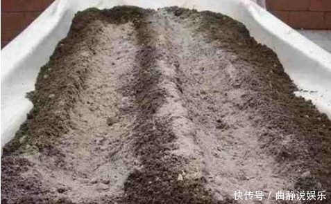 养花|用以下食物养花,撒一把根壮叶绿蹭蹭疯长,一年到头不生虫