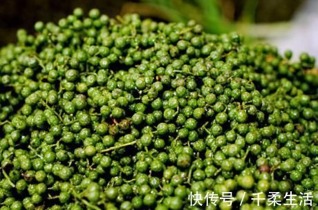 味道|炸花椒油，花椒凉油放还是关火后下锅？做对了，又香又麻味道纯正