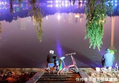 饵料|大鱼只有4种情况下才到浅水,多注意以下细节,才有机会钓到大鱼