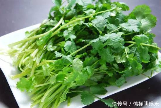 生菜|现在开始,花盆里养上“3种菜”,整个冬天“吃火锅”随便摘