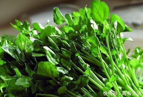 锦荔枝|想长寿先养生,三种食物换着吃,养肝护肝,清热排毒,早吃早受益