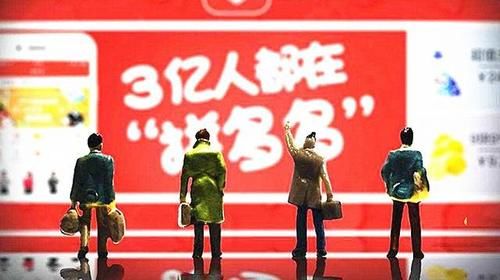 网购|别人卖9块/斤，拼多多只卖3.6块？究竟怎么赚钱？商家爆料内情