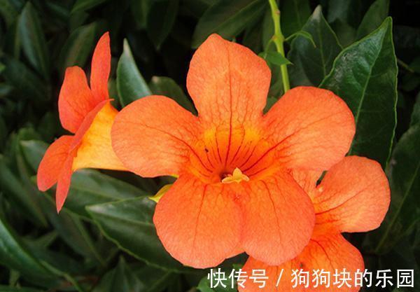 射手座座|7月依然难以走出过去,会默默关注前任的三大星座