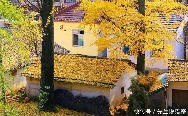 依山傍水說的就是這裏,蘇浙皖三省交界的長興,是個低調的好地方