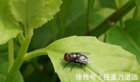10个有趣的冷知识,长期用嘴巴呼吸会慢慢变丑赶快了解下!