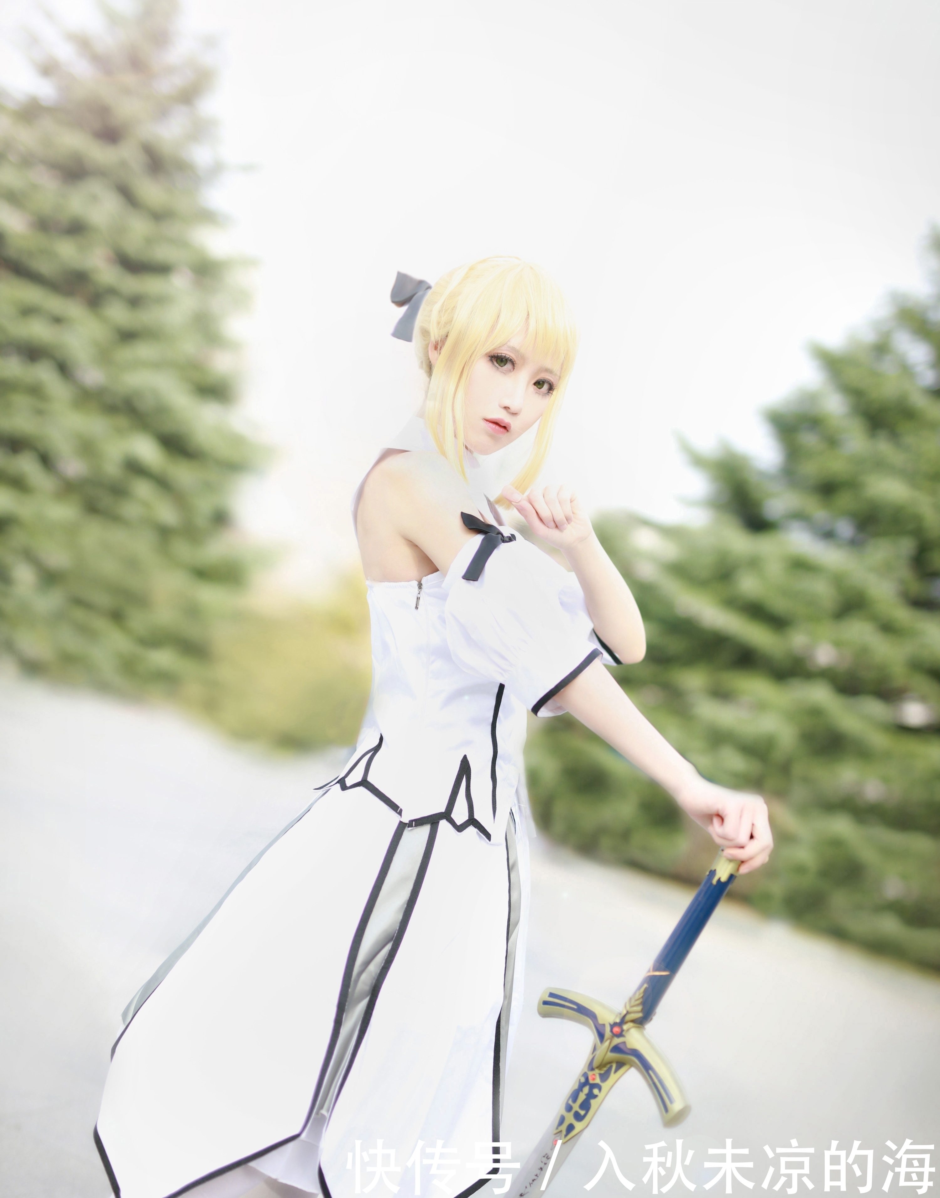 a8341|【cos正片】Saber Lily