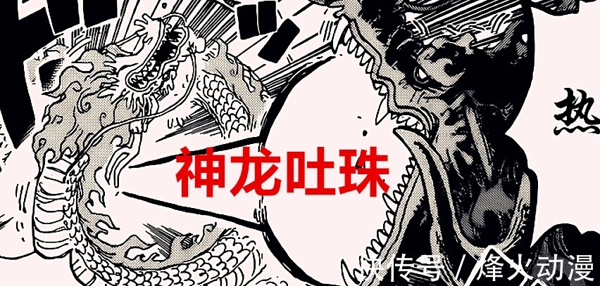 九侠|海贼王1026话：凯多大妈各损失一位皇副，明哥苦练40年却败于血统