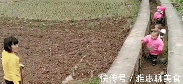 小推车|最勤劳奶奶走红,独自带四胞胎还干农活,网友:这才叫“圈养”