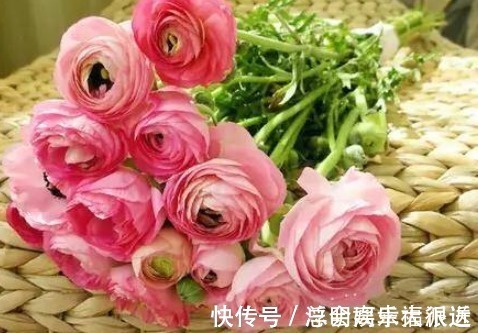 最爱 撒谎 的3个生肖 撒谎成性 谎言天衣无缝 全网搜