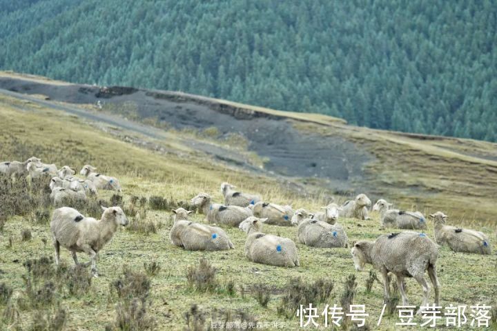 肃南|这条西北自驾路线，沿路都是世界级的美景，去过不枉此生！