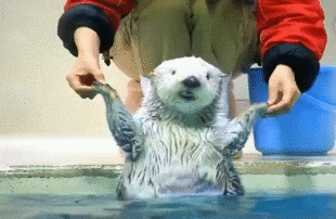 洗脸的最佳水温：32℃