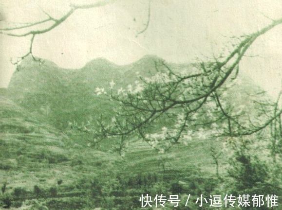 长江|老照片70年代的长江巫山十二峰神态各异风景秀丽