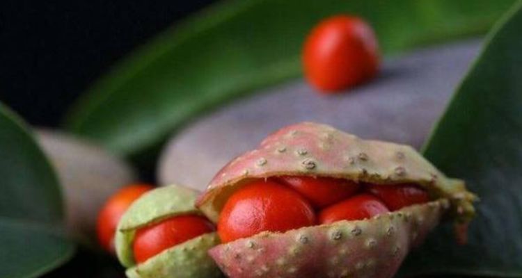 对身体最好的3种食物,排毒养颜、延缓衰老,好处多多!