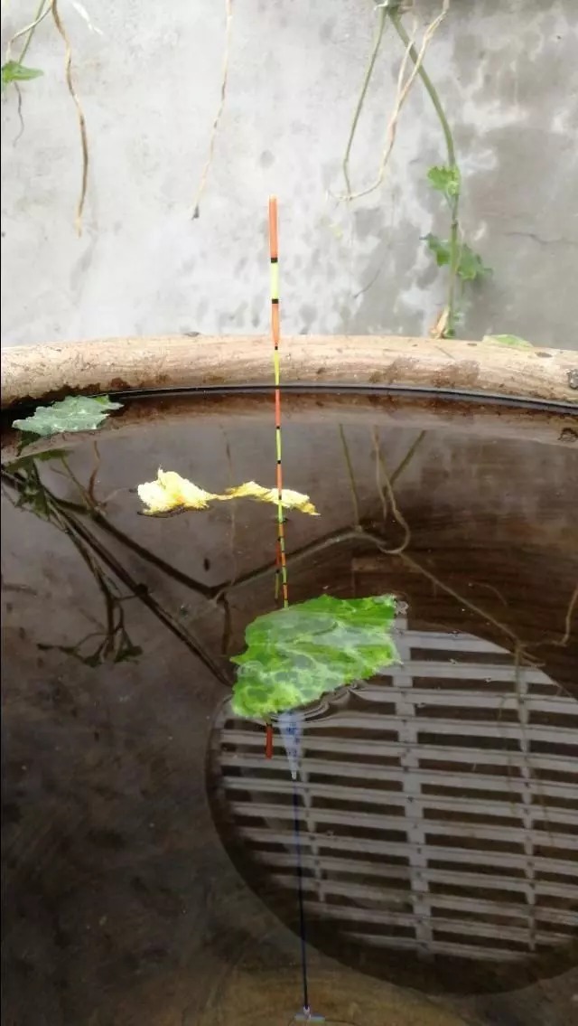 新手如何快速掌握调漂技巧,让你少走弯路,一步到位