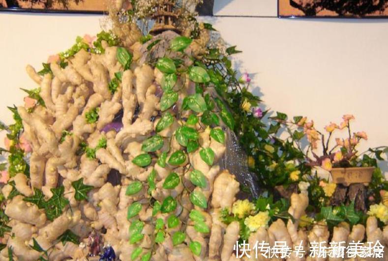 土壤|阳台盆栽生姜，简单4步走，叶绿当花赏，不用再去买，自给自足