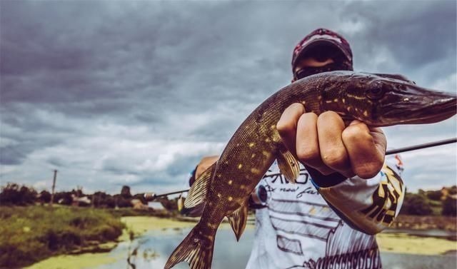 渔获|能不能钓好鱼很大程度取决于钓鱼人的性格,不由你不信