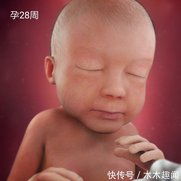 零食|孕28-36周是胎儿猛涨期,孕妇常吃这4种零食,宝宝聪明更容易长个