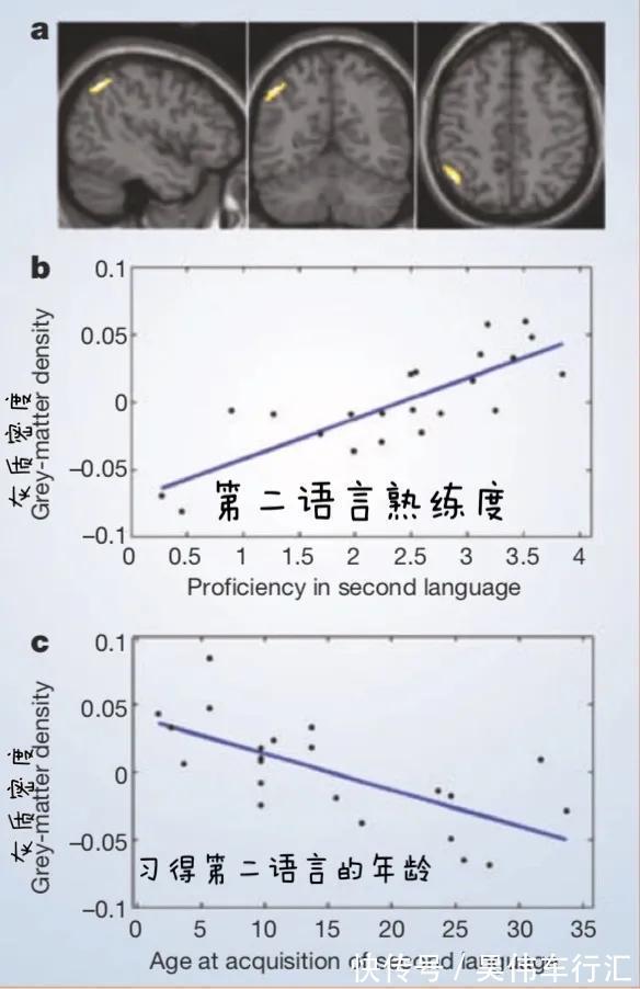 孩子|清华教授:话多和话少的孩子,20年后过的是截然不同的人生