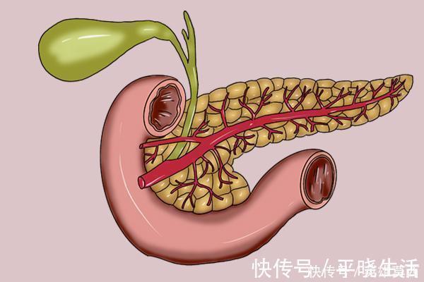 糖友|激活胰岛素的“高手”，并非苦瓜南瓜，而是1件事，糖友要记住