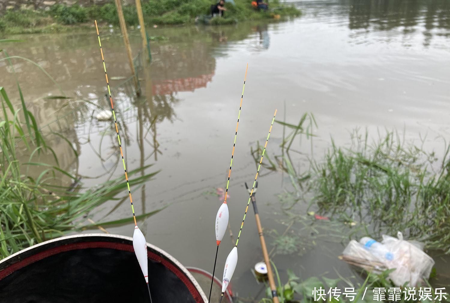 钓鱼|钓鱼时有口老打不到,会有哪些原因了解后可以帮你避免空竿