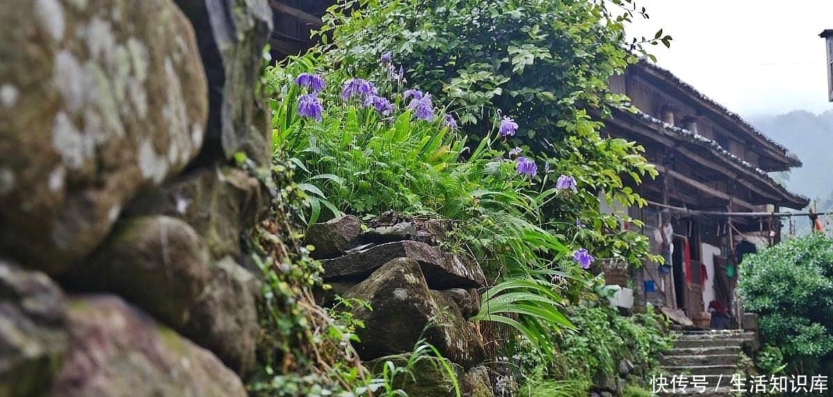 误打误撞遇到的石头村，距今600多年，游客不多却美如仙境