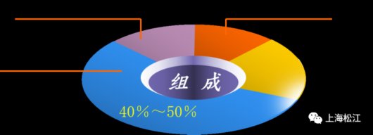 排便困难|莫把“便秘”当小事,松江专家教你“对因治秘”