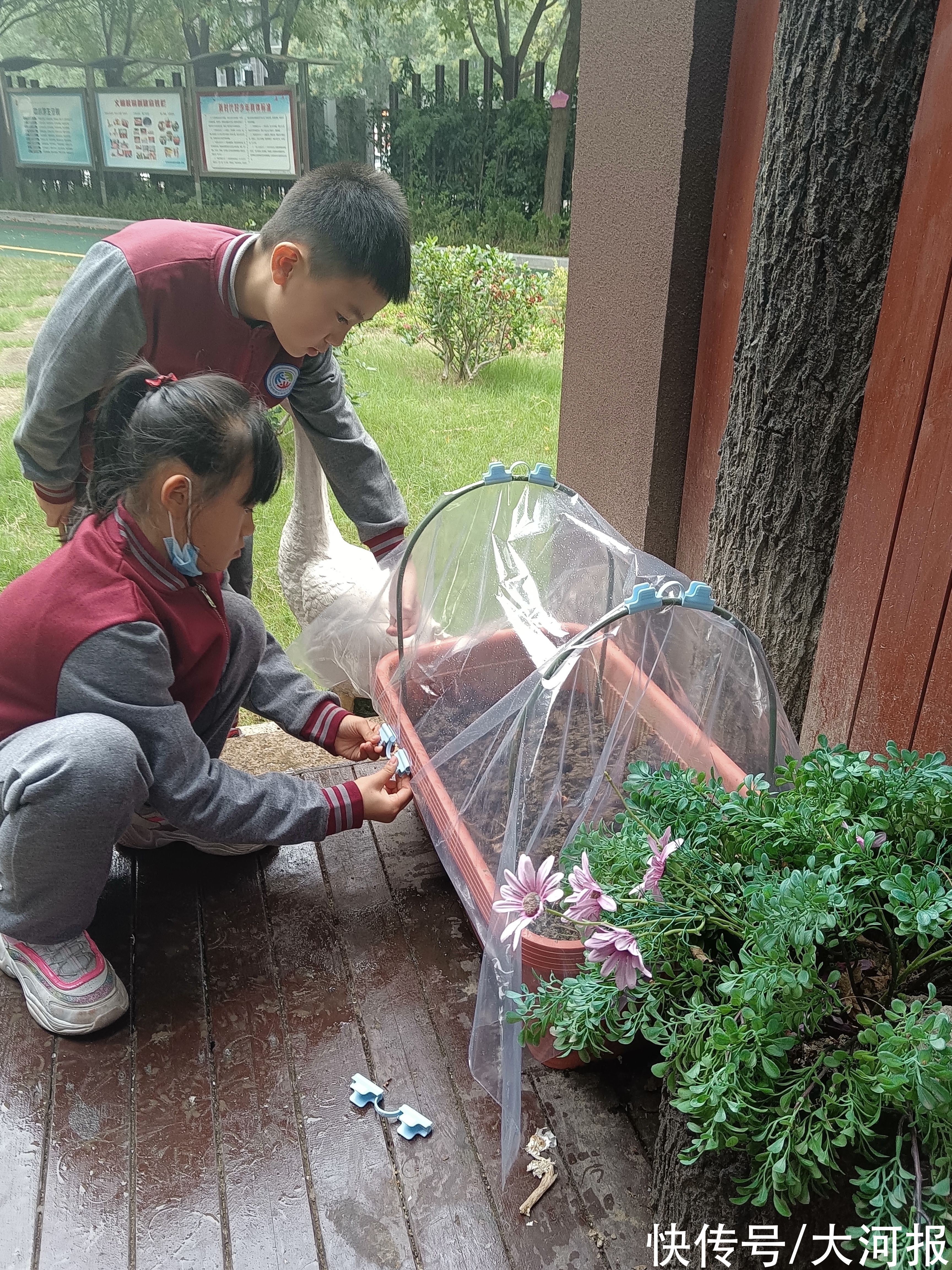 小学|菜园进校园、擀面条变课程，郑州这所小学的劳动教育凭啥“出圈儿”？