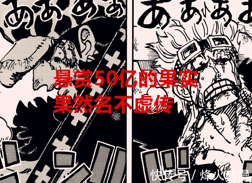 四皇大妈|海贼王1040话:罗觉醒后,单果实变双果实,悬赏50亿果然名不虚传