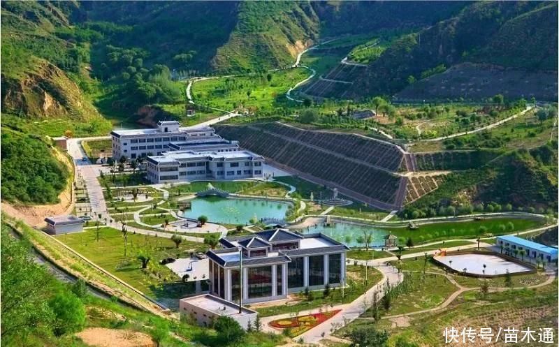 所有权|“退林还耕”政策下,教你三点弄清“农村土地确权”问题