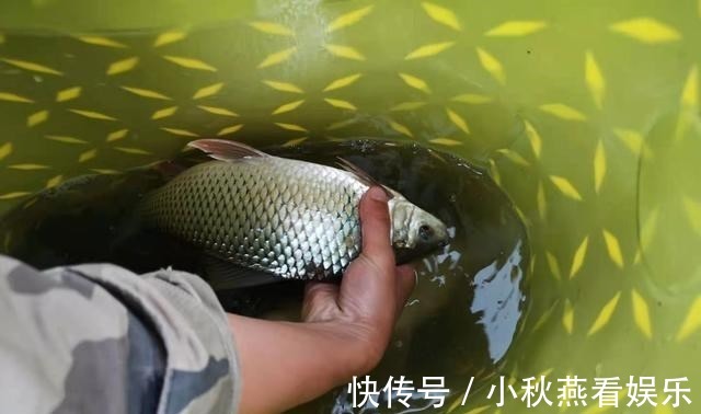 搭配|浅谈双钩的饵料搭配，科学搭配可提高钓鱼效率