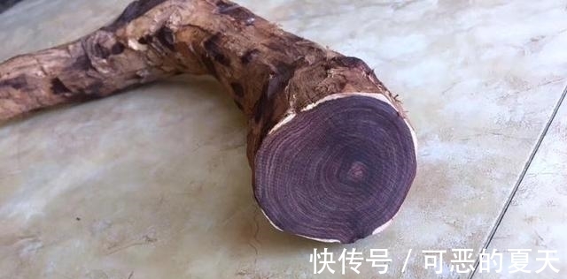 老家@老伯从老家带回半截木棍,一刀切开之后,惊喜不已