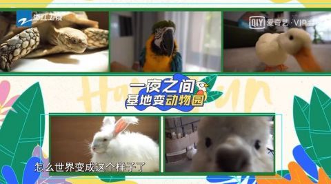 節(jié)目|《嗨放派》：一切偉大或許源于一個(gè)微不足道的開(kāi)始