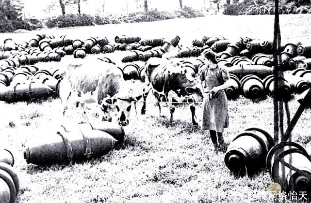 士兵|诺曼底被解放后的老照片:欢呼的法国人、被俘的德军士兵一脸悲伤