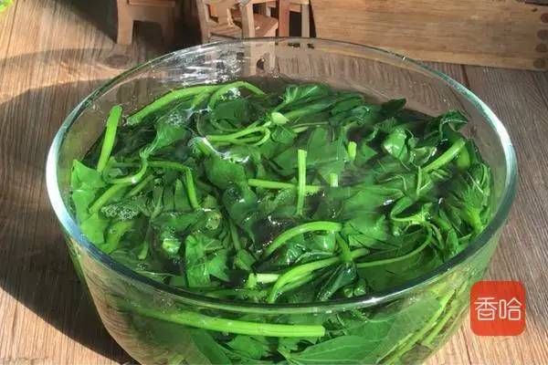 味碟|它被称为“蔬菜皇后”，胡萝卜素是芋头的600多倍，只卖2块一斤