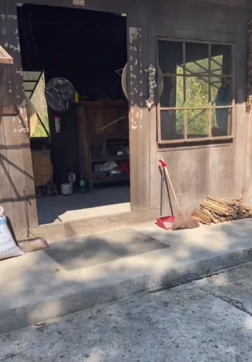 打扫|失去了节目滤镜,蘑菇屋变成另一种状态,满地落叶屋里堆满杂物