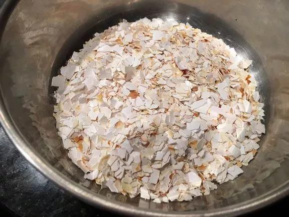 厨房里的“小东西”，养花作用想不到！解决很多养花人的烦恼！