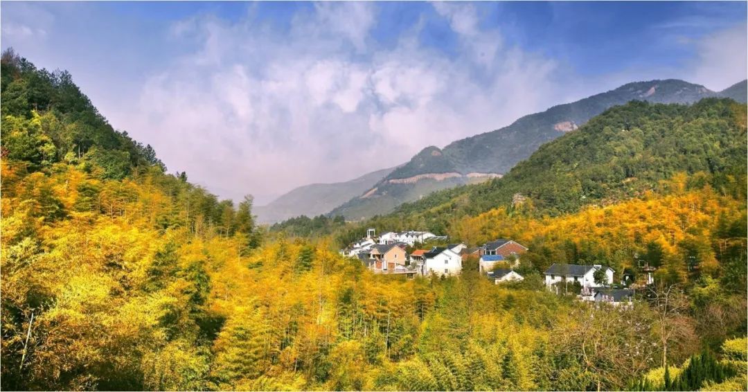 地久天长|又到了余杭最美的季节！抓住秋天的尾巴，看看今年最后一抹秋色