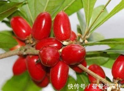 此物|入冬后，每天吃点此物，可美白瘦身，美容补水，是女人的救星！