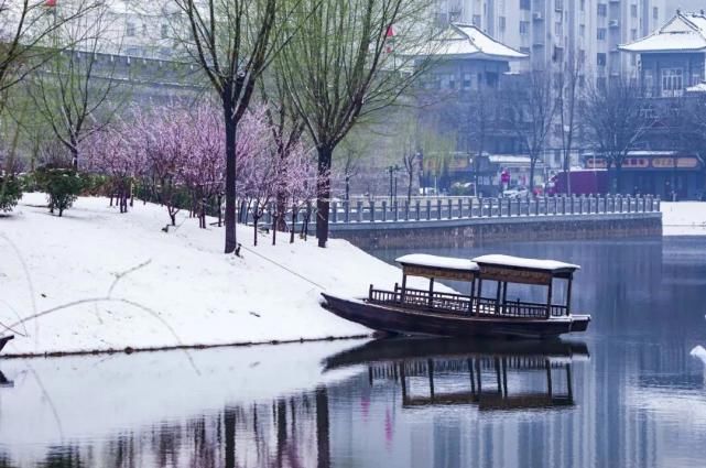 老年|大名牛年初雪