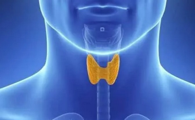 甲状腺|再三提醒甲状腺“癌变”时,身体会有3个异常,早治疗早痊愈
