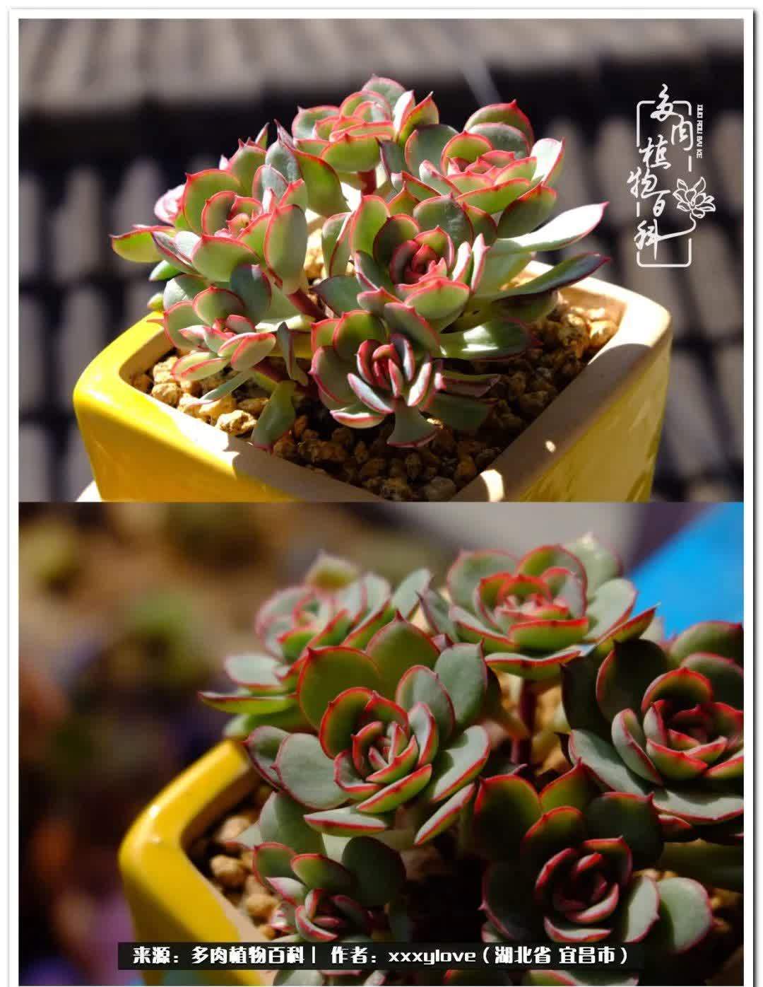 时光匆匆,一闪而逝,这世间万物的美,都值得被记录!