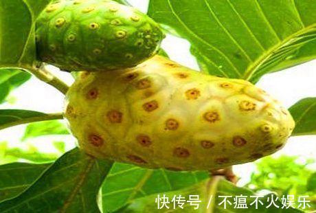 延缓衰老|女性爱美要会吃,常吃3种食物,滋阴润燥,延缓衰老,滋养肌肤