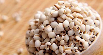 薏米|女性想肌肤好，多吃的食物，促进消化，肌肤细腻，越吃越好