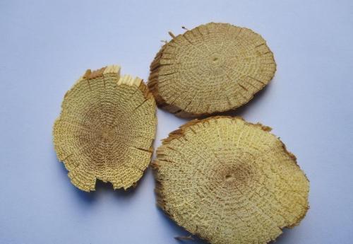 湿气|中医入门8种祛湿利水中药,除湿气,消水肿的好手,一次讲清楚