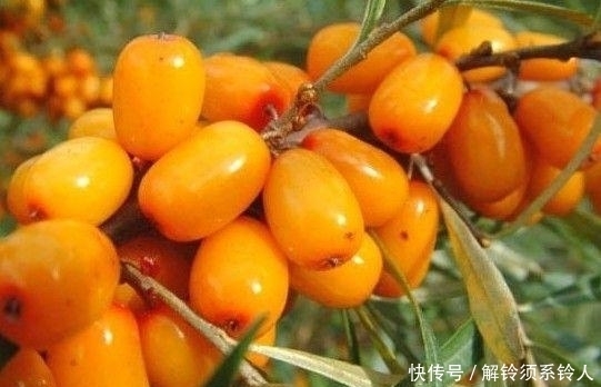 积食|7岁男娃脾虚不长个?医生:4种食物比辣条还伤脾胃,趁早管住嘴