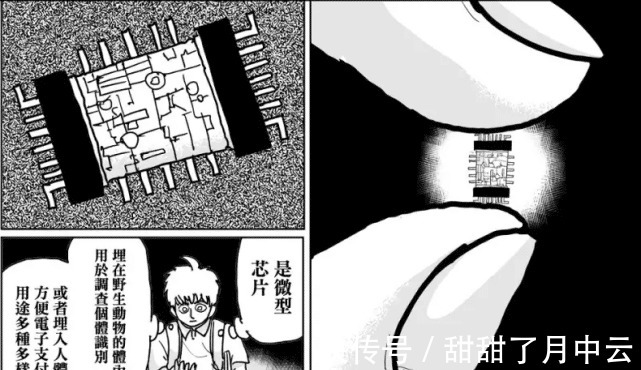 一拳超人|一拳超人杰诺斯仇人浮出水面，是众望所归的‘他’，太意外！