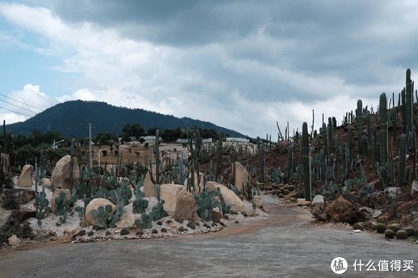 四菜一汤|开车就能到的复活节岛？这里不光有土楼：福建漳州、永定土楼自驾自驾全攻略